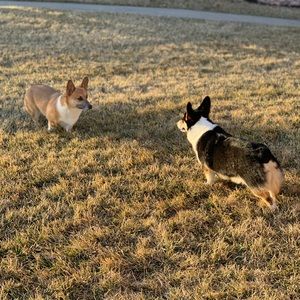 Meet your Posher, Leah